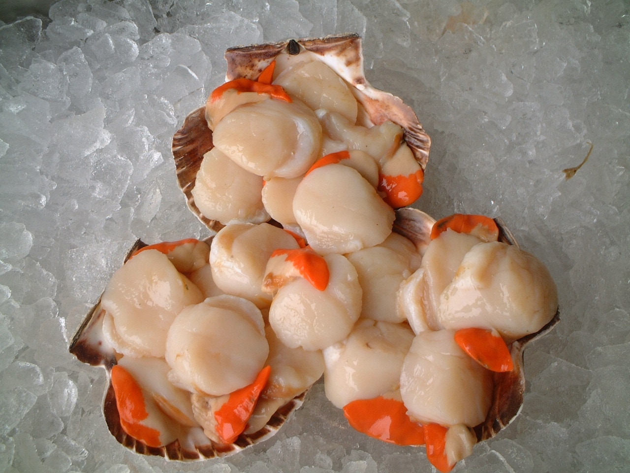 Gallery Britannia The Beach